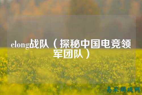 elong战队（探秘中国电竞领军团队）