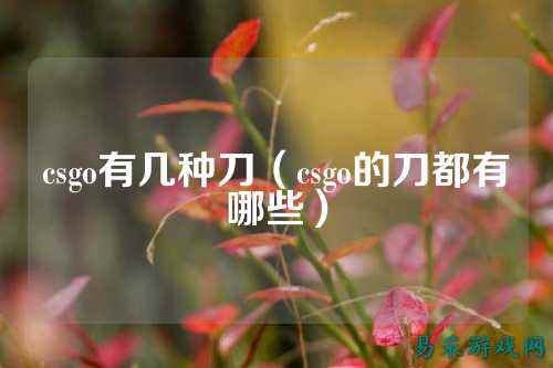 csgo有几种刀(csgo的刀都有哪些)