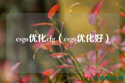 csgo优化cfg(csgo优化好)