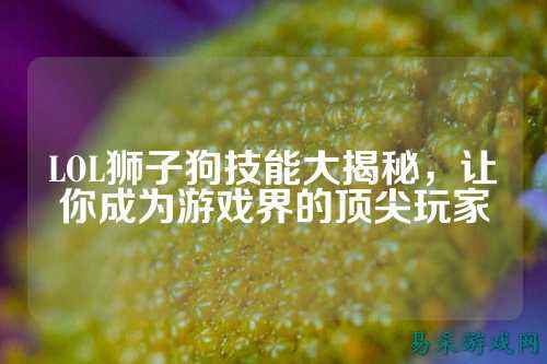 LOL狮子狗技能大揭秘,让你成为游戏界的顶尖玩家