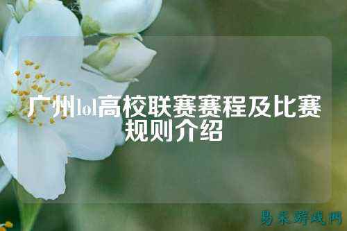 广州lol高校联赛赛程及比赛规则介绍