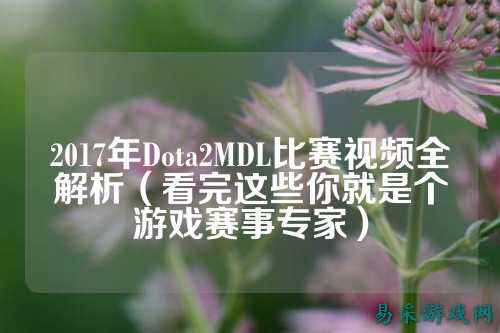 2017年Dota2MDL比赛视频全解析(看完这些你就是个游戏赛事专家)
