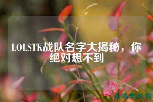 LOLSTK战队名字大揭秘，你绝对想不到