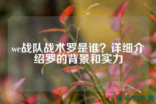 we战队战术罗是谁？详细介绍罗的背景和实力