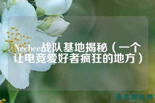 Neebee战队基地揭秘（一个让电竞爱好者疯狂的地方）