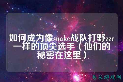 如何成为像snake战队打野zzr一样的顶尖选手（他们的秘密在这里）