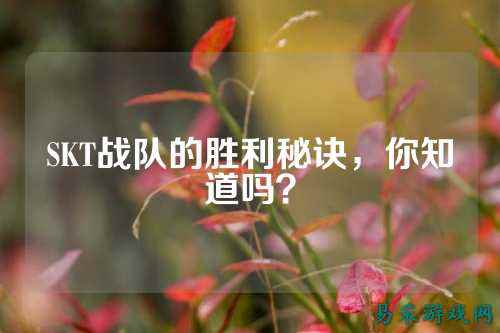 SKT战队的胜利秘诀，你知道吗？