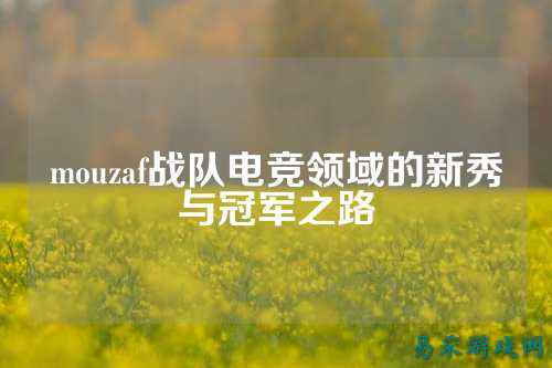 mouzaf战队电竞领域的新秀与冠军之路