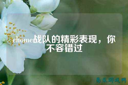 ehome战队的精彩表现，你不容错过