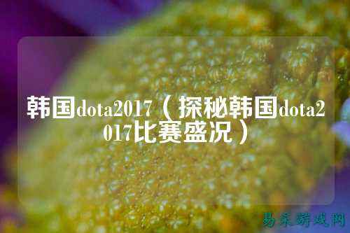 韩国dota2017（探秘韩国dota2017比赛盛况）