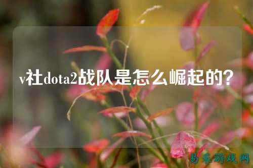 v社dota2战队是怎么崛起的？