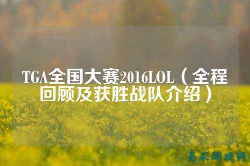 TGA全国大赛2016LOL（全程回顾及获胜战队介绍）