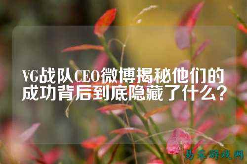 VG战队CEO微博揭秘他们的成功背后到底隐藏了什么？
