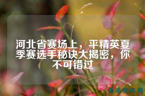 河北省赛场上，平精英夏季赛选手秘诀大揭密，你不可错过