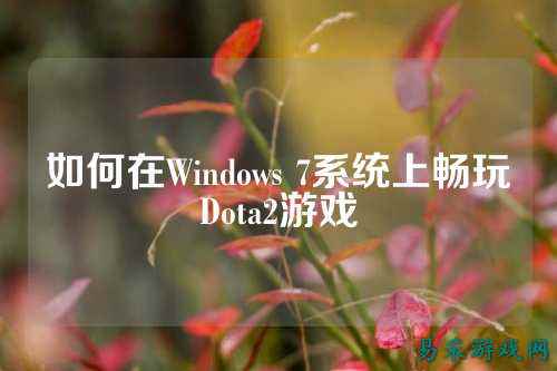 如何在Windows 7系统上畅玩Dota2游戏