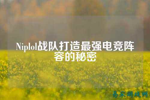 Niplol战队打造最强电竞阵容的秘密