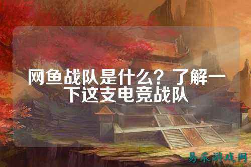 网鱼战队是什么？了解一下这支电竞战队