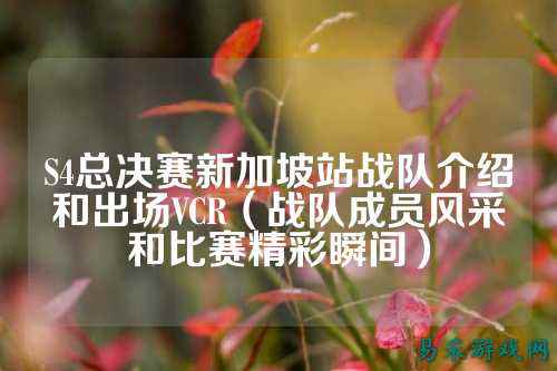 S4总决赛新加坡站战队介绍和出场VCR（战队成员风采和比赛精彩瞬间）
