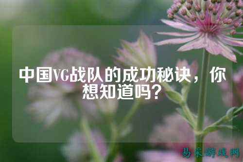 中国VG战队的成功秘诀,你想知道吗?