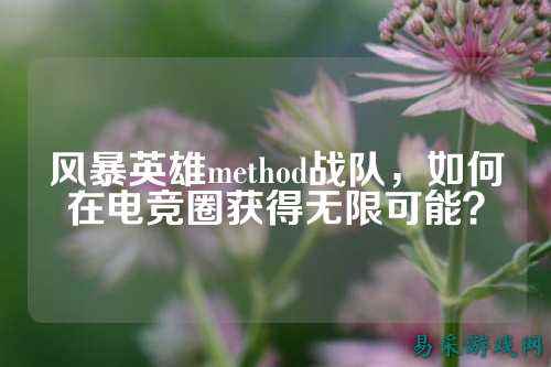 风暴英雄method战队，如何在电竞圈获得无限可能？