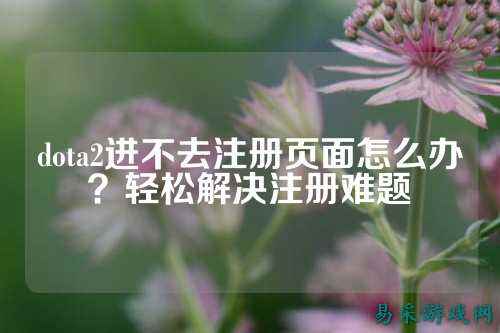 dota2进不去注册页面怎么办?轻松解决注册难题