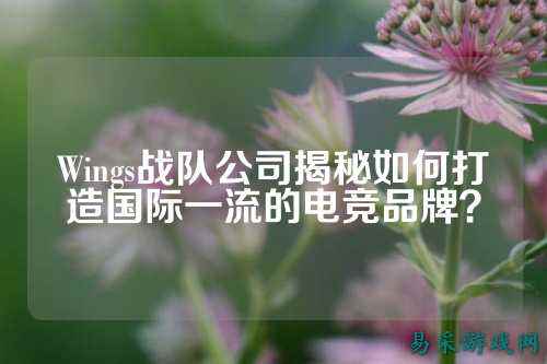 Wings战队公司揭秘如何打造国际一流的电竞品牌？