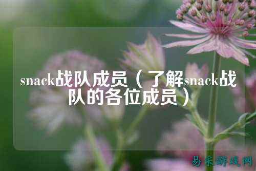 snack战队成员（了解snack战队的各位成员）