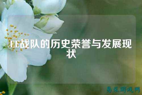 EE战队的历史荣誉与发展现状