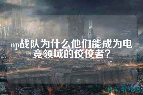 np战队为什么他们能成为电竞领域的佼佼者？