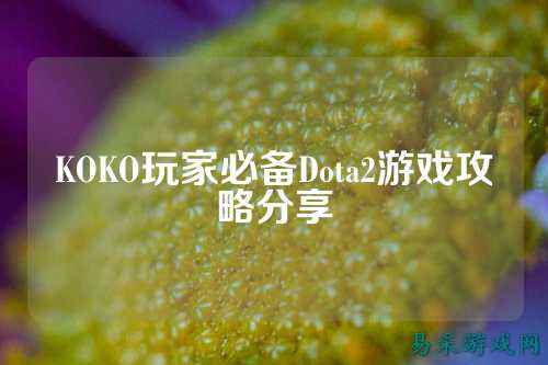KOKO玩家必备Dota2游戏攻略分享