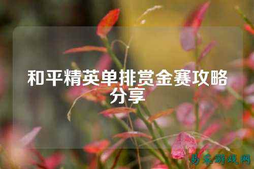 和平精英单排赏金赛攻略分享