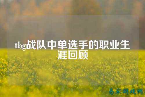 tbg战队中单选手的职业生涯回顾