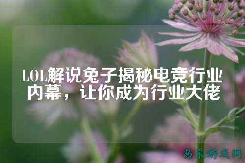 LOL解说兔子揭秘电竞行业内幕,让你成为行业大佬