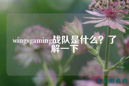 wingsgaming战队是什么？了解一下