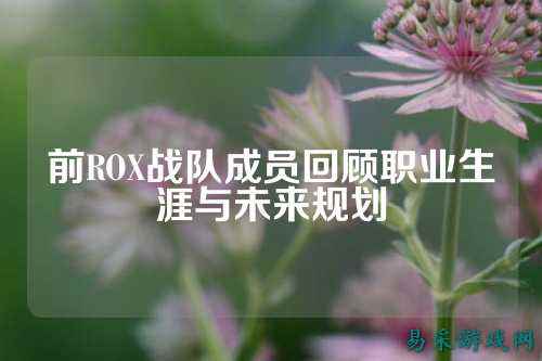 前ROX战队成员回顾职业生涯与未来规划