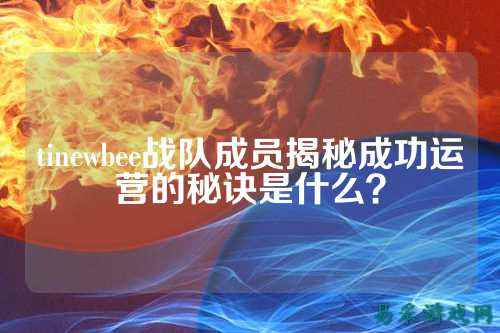 tinewbee战队成员揭秘成功运营的秘诀是什么？