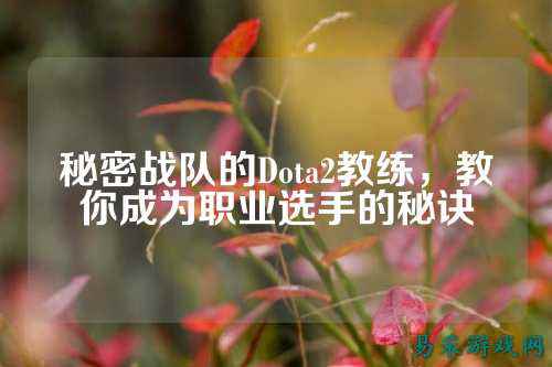 秘密战队的Dota2教练，教你成为职业选手的秘诀
