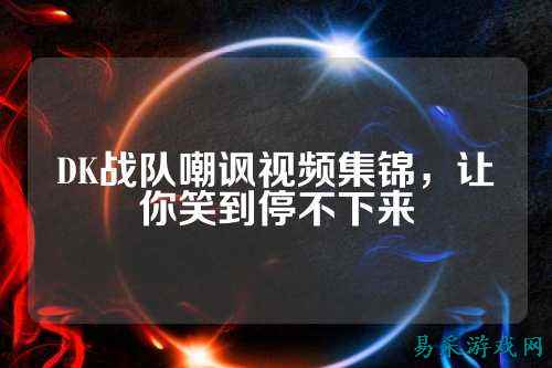 DK战队嘲讽视频集锦，让你笑到停不下来