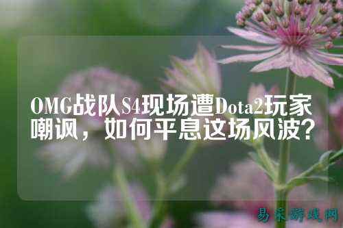 OMG战队S4现场遭Dota2玩家嘲讽，如何平息这场风波？