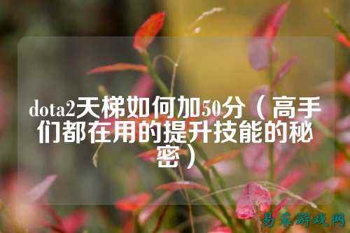 dota2天梯如何加50分(高手们都在用的提升技能的秘密)