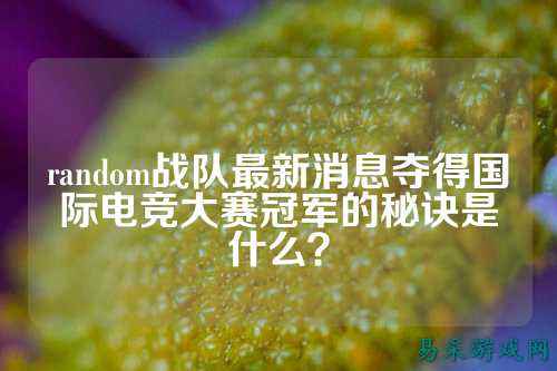 random战队最新消息夺得国际电竞大赛冠军的秘诀是什么？