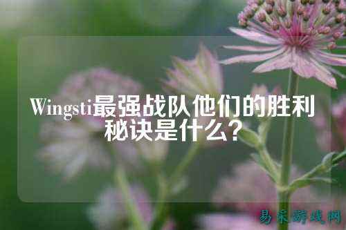 Wingsti最强战队他们的胜利秘诀是什么？