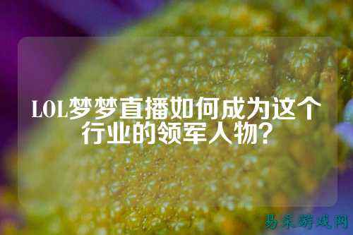 LOL梦梦直播如何成为这个行业的领军人物?
