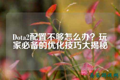 Dota2配置不够怎么办?玩家必备的优化技巧大揭秘