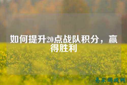 如何提升20点战队积分，赢得胜利