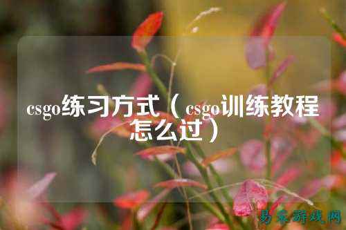 csgo练习方式(csgo训练教程怎么过)