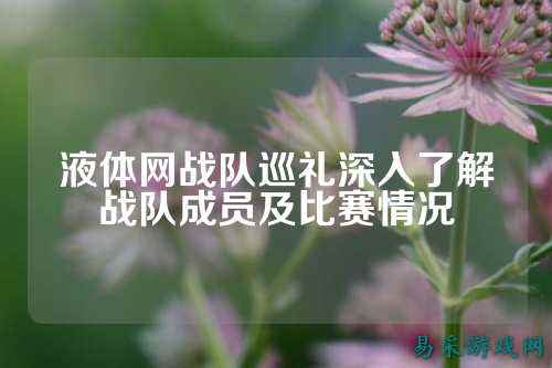 液体网战队巡礼深入了解战队成员及比赛情况
