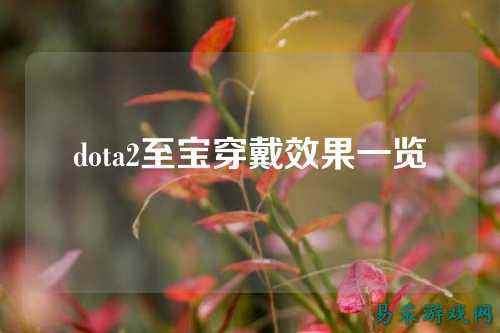 dota2至宝穿戴效果一览