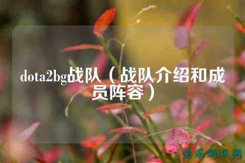dota2bg战队（战队介绍和成员阵容）