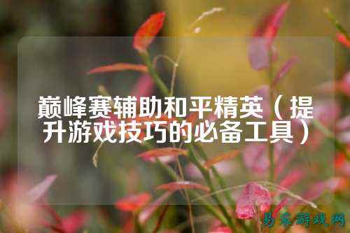 巅峰赛辅助和平精英(提升游戏技巧的必备工具)